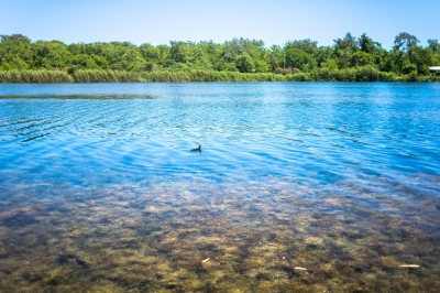 Titreyengol